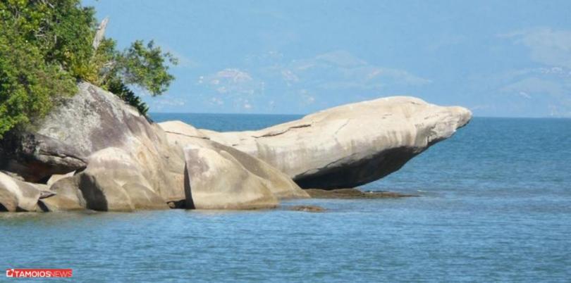 Apto Lindo E Aconchegante Com Piscina 202A Caraguatatuba Zewnętrze zdjęcie